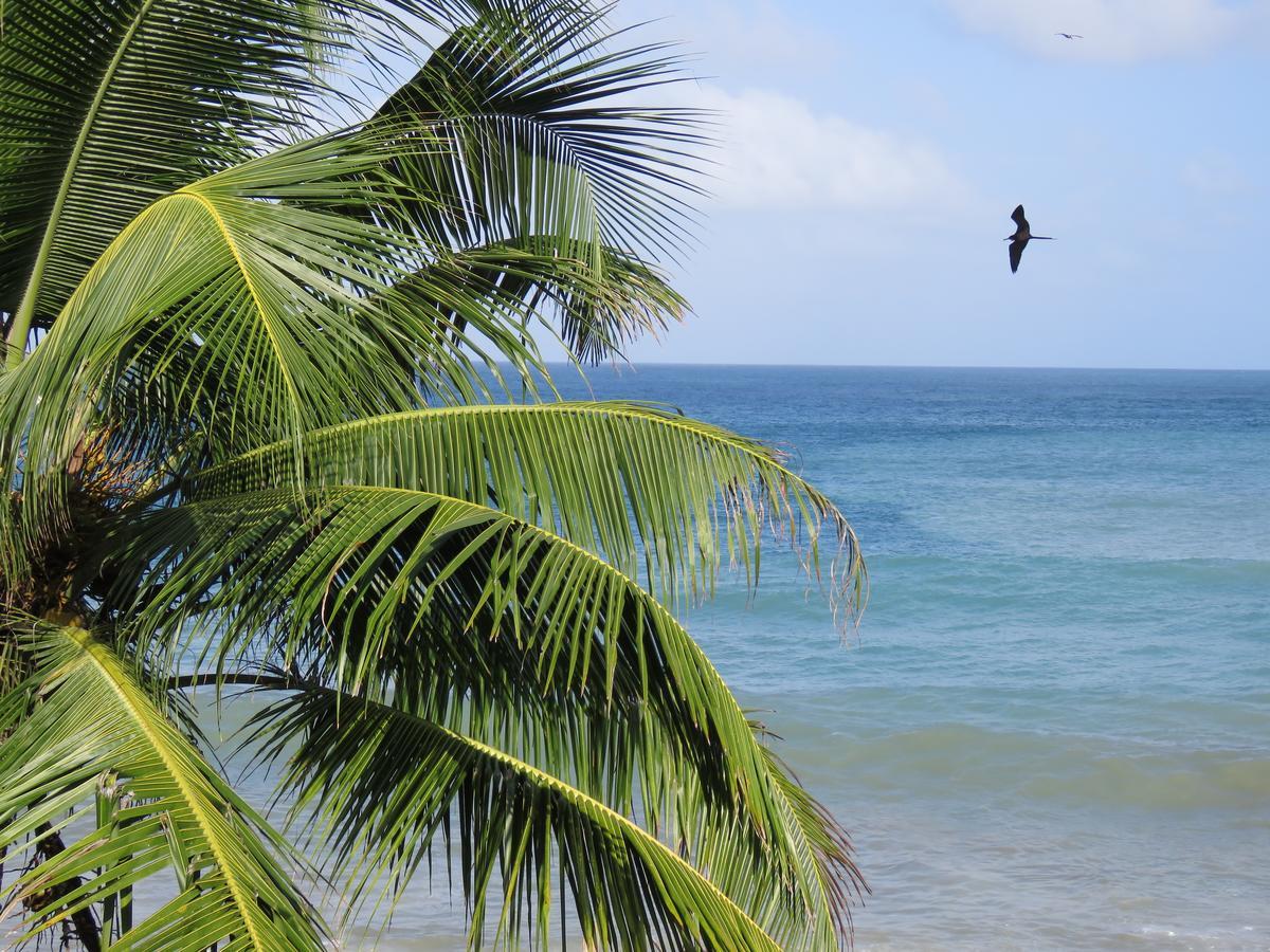 Hotel Las Mananitas Capurganá 外观 照片